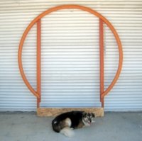 Redwood Moon Gate